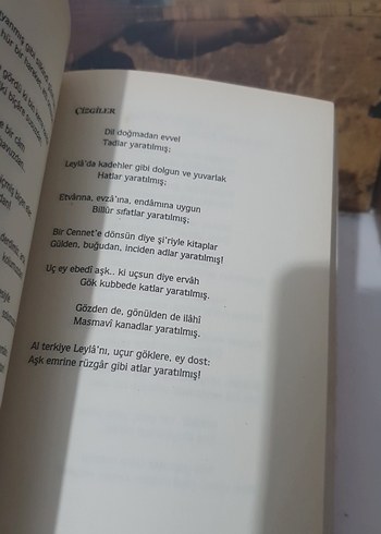 Arif Nihat - Asya: Bir Bayrak Rüzgar Bekliyor - Görsel 4