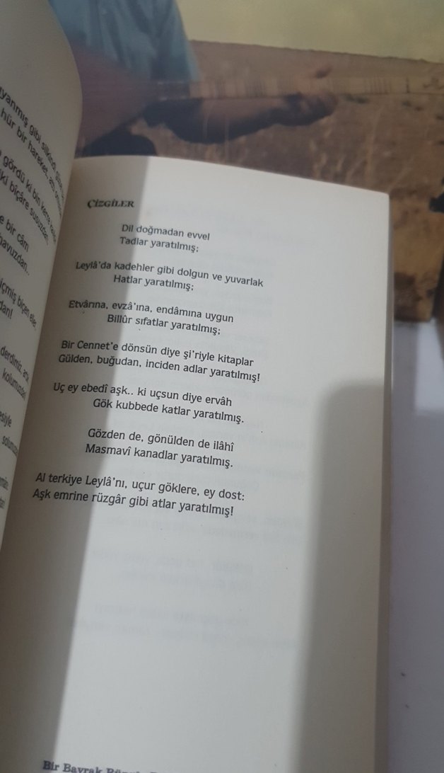 Arif Nihat - Asya: Bir Bayrak Rüzgar Bekliyor - Görsel 4