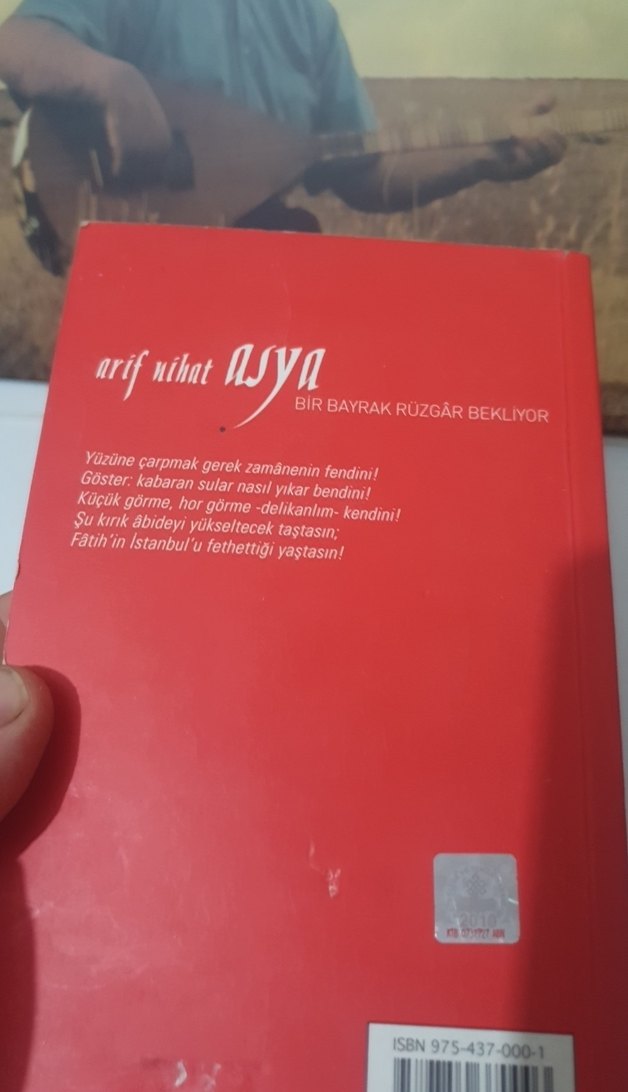 Arif Nihat - Asya: Bir Bayrak Rüzgar Bekliyor - Görsel 3