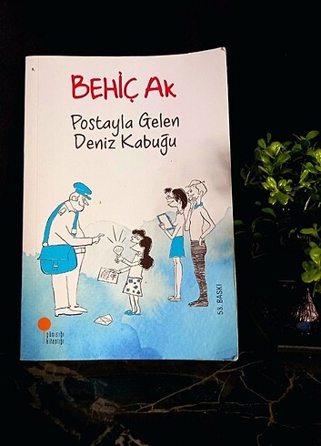 Postayla Gelen Denizkabuğu