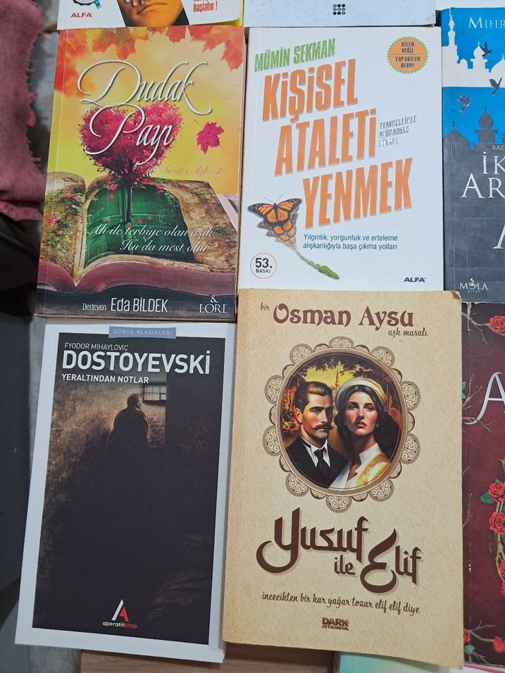 Çeşitli Türkçe Roman ve Kitap Seti - Görsel 4