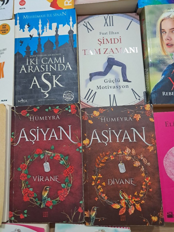 Çeşitli Türkçe Roman ve Kitap Seti - Görsel 5