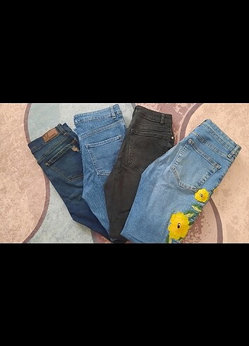 Kot Jean 