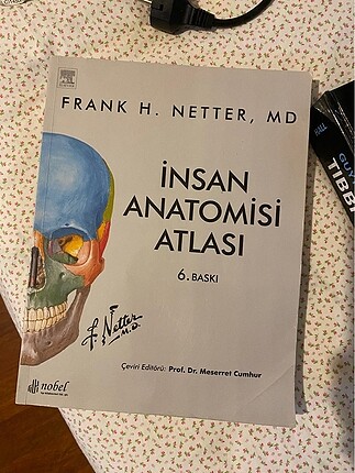 Netter Anatomi