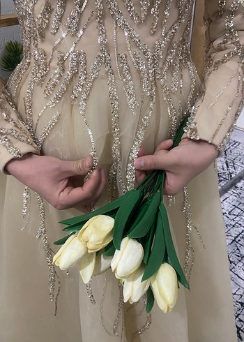 Nakışlı Bej Uzun Abiye Elbise - Görsel 7