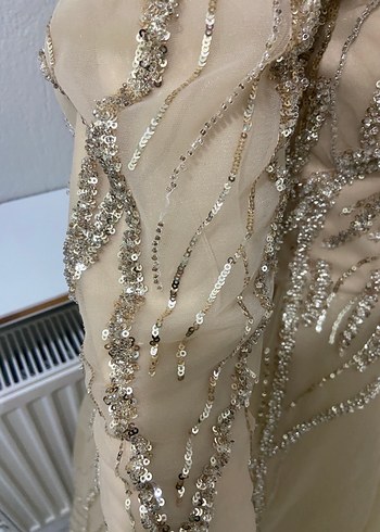 Nakışlı Bej Uzun Abiye Elbise - Görsel 6