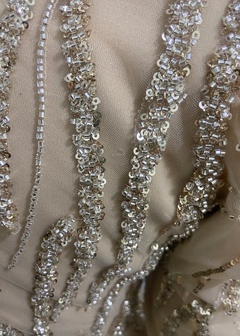 Nakışlı Bej Uzun Abiye Elbise - Görsel 4