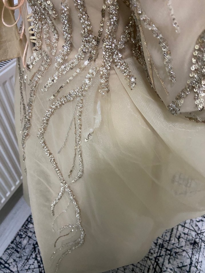 Nakışlı Bej Uzun Abiye Elbise - Görsel 5