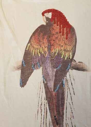 m Beden Collezione T-shirt