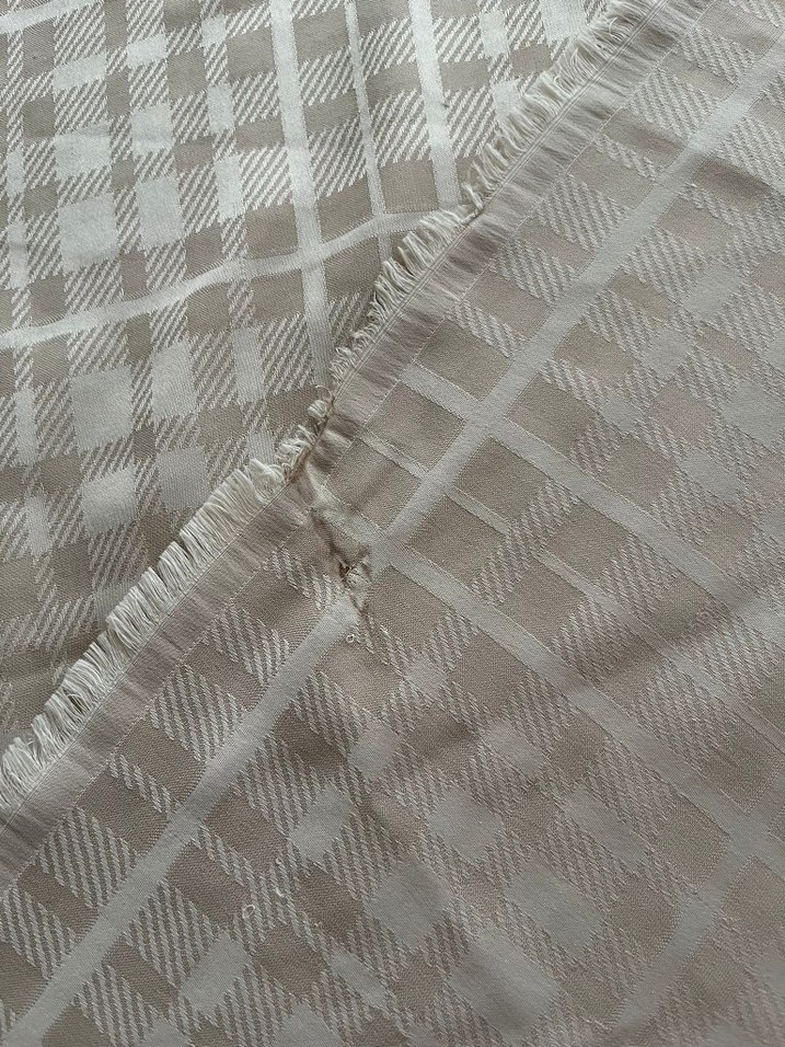 Bej Parlak Kadın Şal Drapeli - Görsel 4