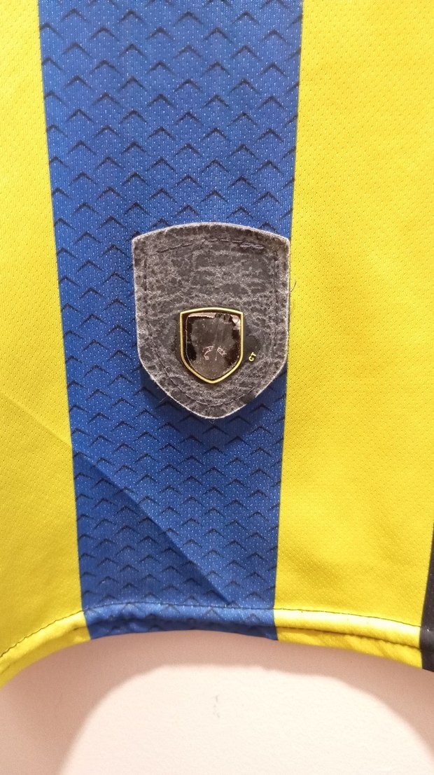 fenerbahçe 2012-2013 sezonu orijinal çubuklu forma - Görsel 3