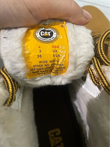 36 Beden camel Renk cat kadın 36 no bot