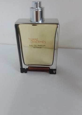 Terre d'Hermès Intense Erkek Parfümü