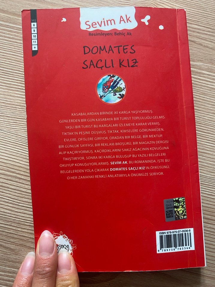 Domates Saçlı Kız - Sevim Ak - Görsel 3