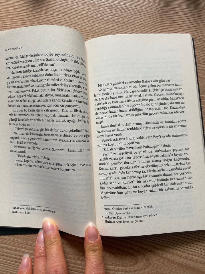 Fatih Harbiye - Peyami Safa - Görsel 2