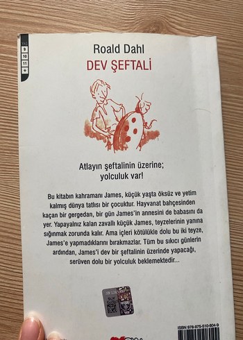 Roald Dahl - Dev Şeftali Çocuk Kitabı - Görsel 3