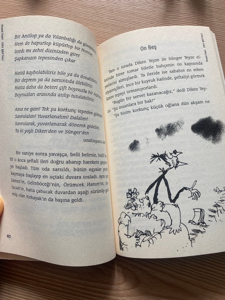 Roald Dahl - Dev Şeftali Çocuk Kitabı - Görsel 2