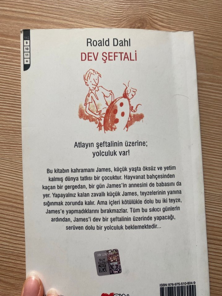 Roald Dahl - Dev Şeftali Çocuk Kitabı - Görsel 3