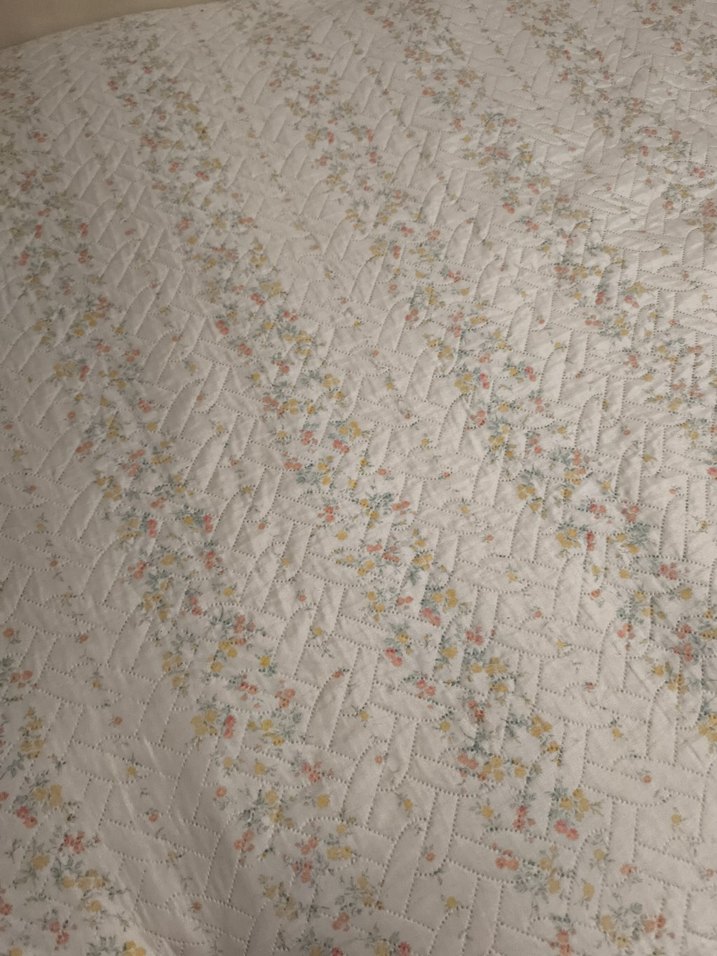 İşlemeli Beyaz Pastel Yatak Örtüsü English hom - Görsel 3