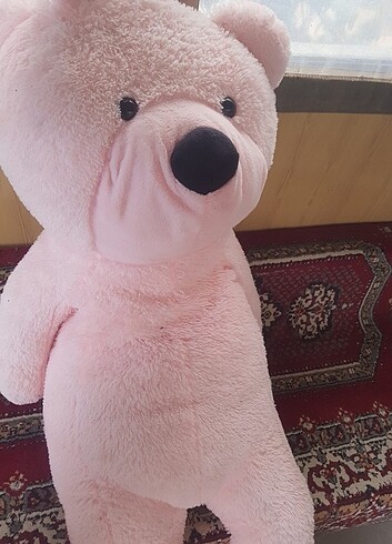  Beden Büyük ayı