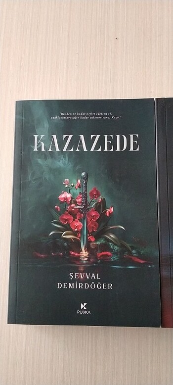  KAZAZEDE - ŞEVVAL DEMİRDÖĞER - PUKKA YAYINLARI