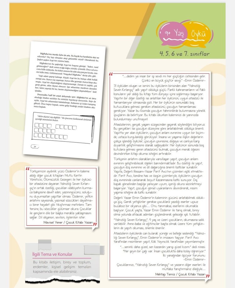 Yalnızlığı Seven Kırlangıç - Emin Özdemir - Görsel 2