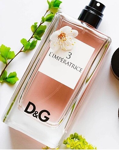 Dolce gabbana limperatrice