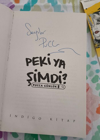 Pucca Günlük: Peki Ya Şimdi? Art Book - Görsel 3