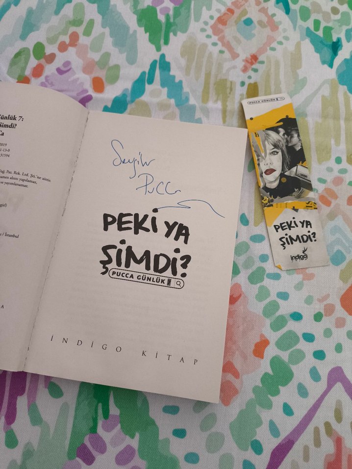 Pucca Günlük: Peki Ya Şimdi? Art Book - Görsel 2