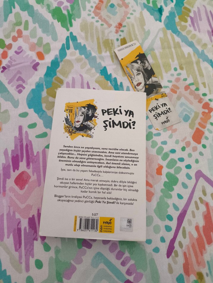 Pucca Günlük: Peki Ya Şimdi? Art Book - Görsel 4