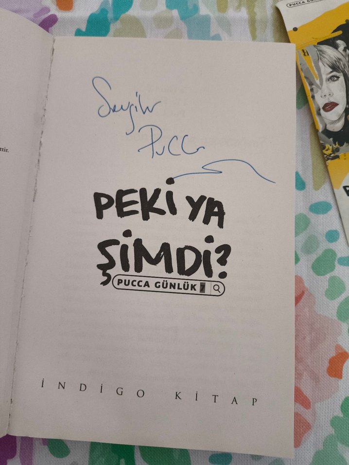 Pucca Günlük: Peki Ya Şimdi? Art Book - Görsel 3
