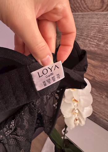 LOYA-NBB - Görsel 2