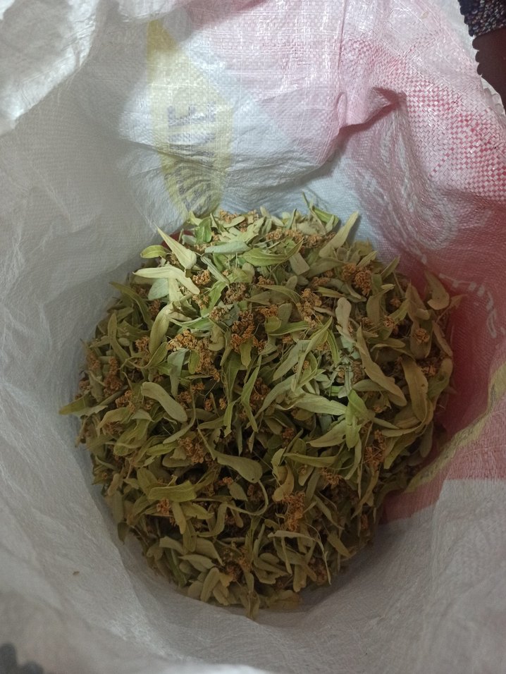 KÖYDEN IHLAMUR - Görsel 3