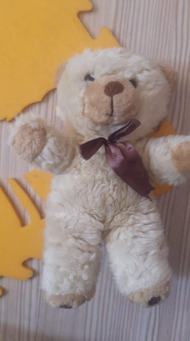 Beyaz Peluş Oyuncak Ayıcık - Görsel 2