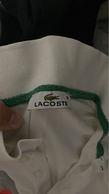 Lacoste Lacoste erkek tişörtü