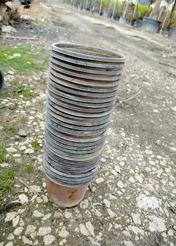 ince plastik üretim saksıları - Görsel 6