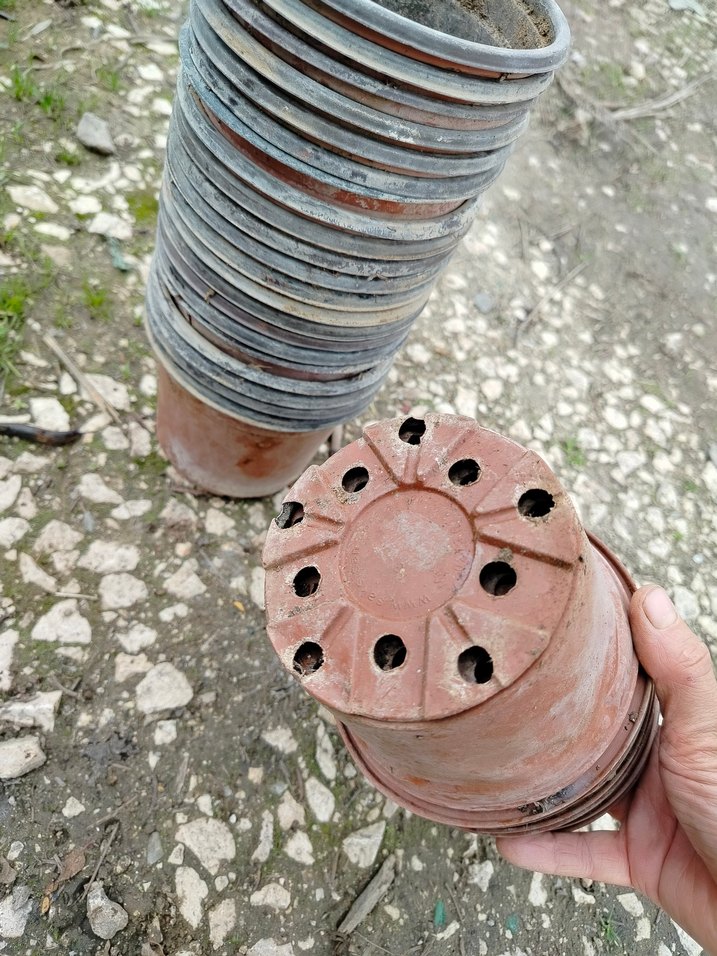 ince plastik üretim saksıları - Görsel 5