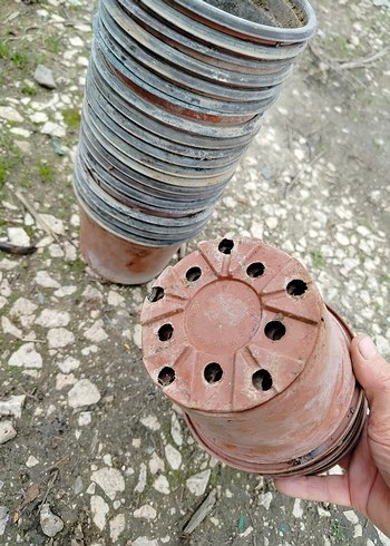 ince plastik üretim saksıları - Görsel 6