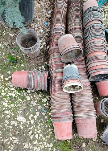 ince plastik üretim saksıları - Görsel 4