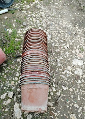 ince plastik üretim saksıları - Görsel 7