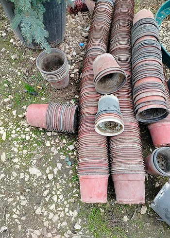 ince plastik üretim saksıları - Görsel 3