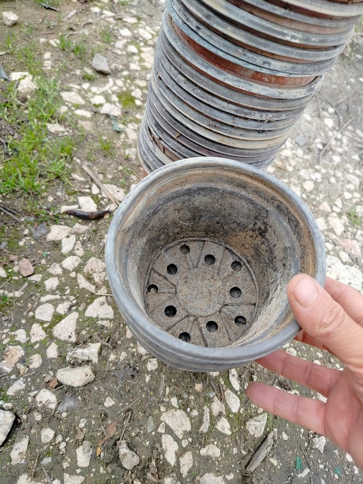 ince plastik üretim saksıları - Görsel 5