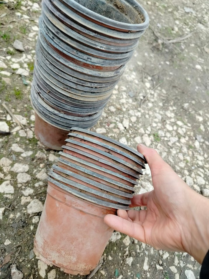 ince plastik üretim saksıları - Görsel 2