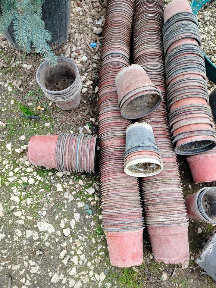 ince plastik üretim saksıları - Görsel 5