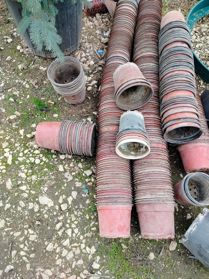 ince plastik üretim saksıları - Görsel 4