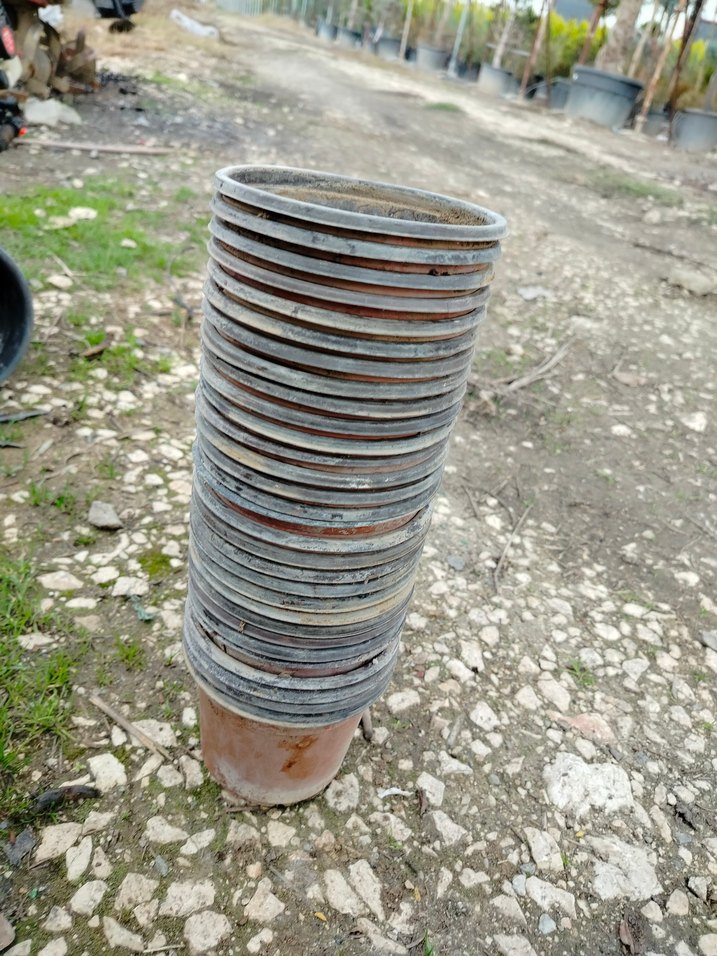 ince plastik üretim saksıları - Görsel 2