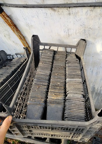 Koyu Gri Plastik Saksılar üretim saksıları kare pot - Görsel 2