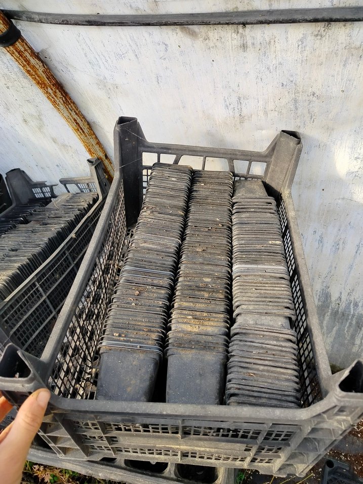 Koyu Gri Plastik Saksılar üretim saksıları kare pot - Görsel 2