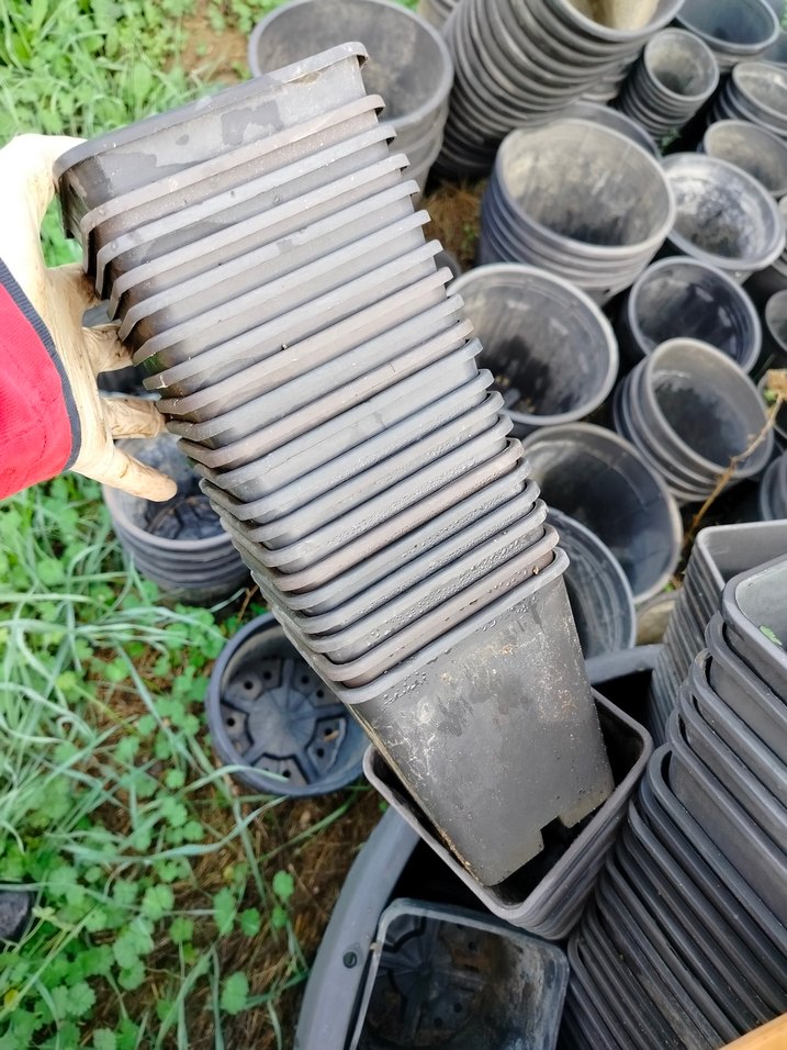 Gri Plastik üretim saksıları - Görsel 2