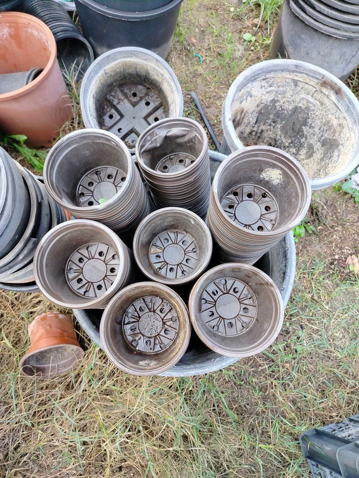 üretim saksıları - Görsel 2